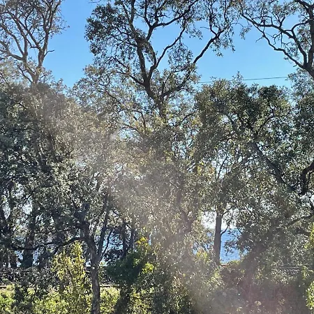 Апартаменты T2 Boulouris -st Raphael, 150 Metres De La Сен-Рафаэль