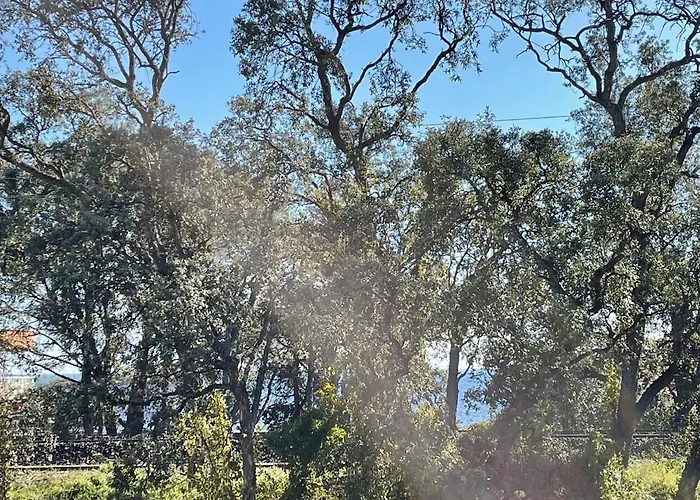 Апартаменти T2 Boulouris -st Raphael, 150 Metres De La Сен-Рафаель